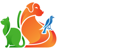 VetWork Veteriner Kliniği